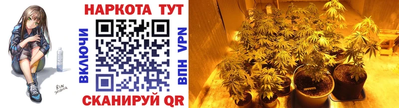 Купить наркотики цена Зубцов Марихуана  Alpha PVP  АМФ  Гашиш 