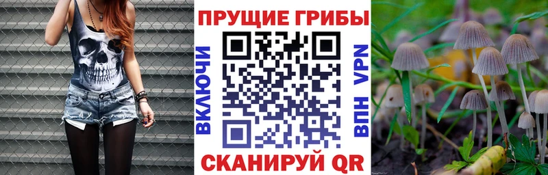 площадка состав  гидра сайт  Зубцов  Галлюциногенные грибы Magic Shrooms 